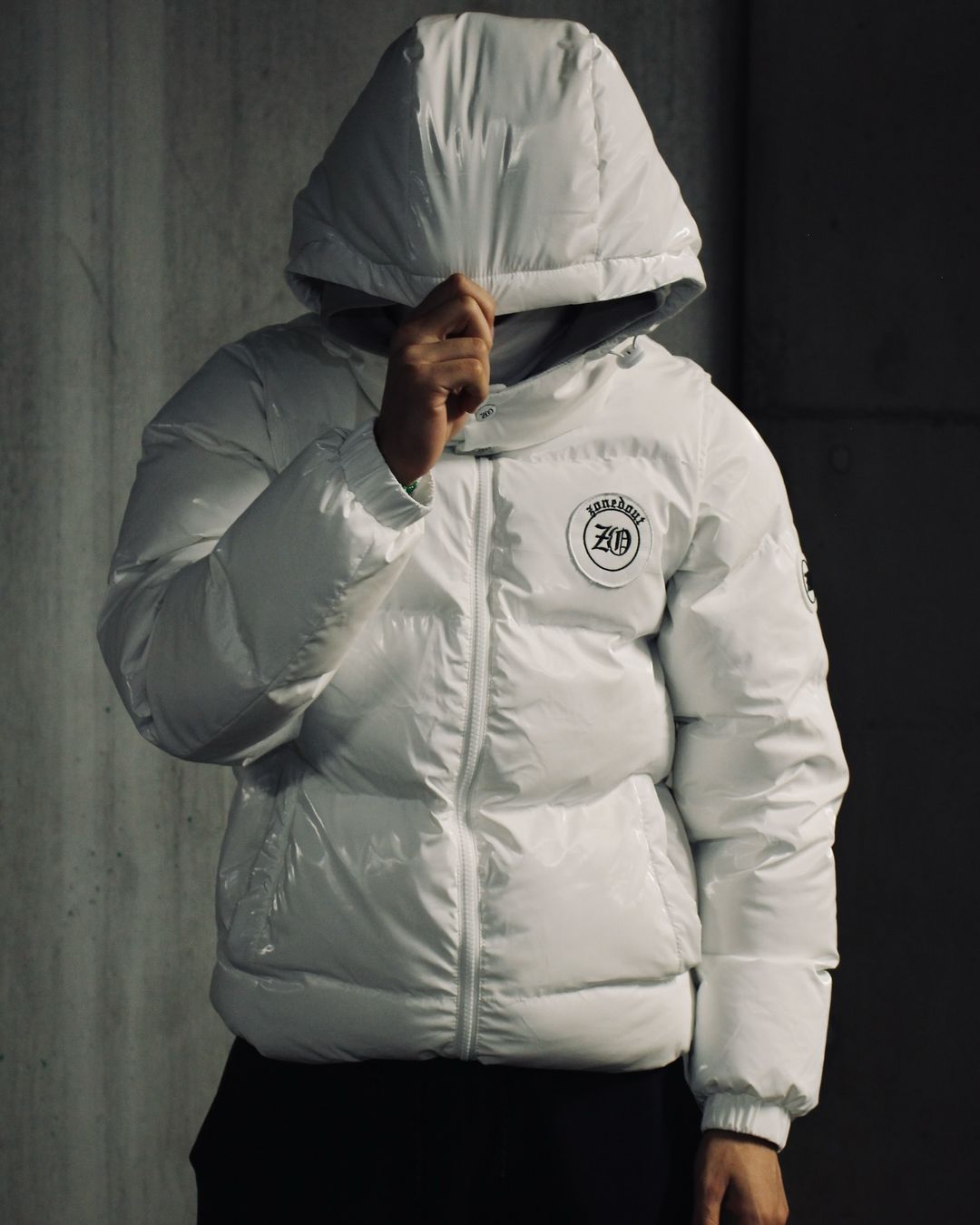 3-in-1 Jacket Puffer